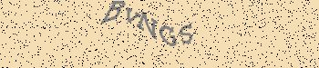 An error has occurred while getting captcha image